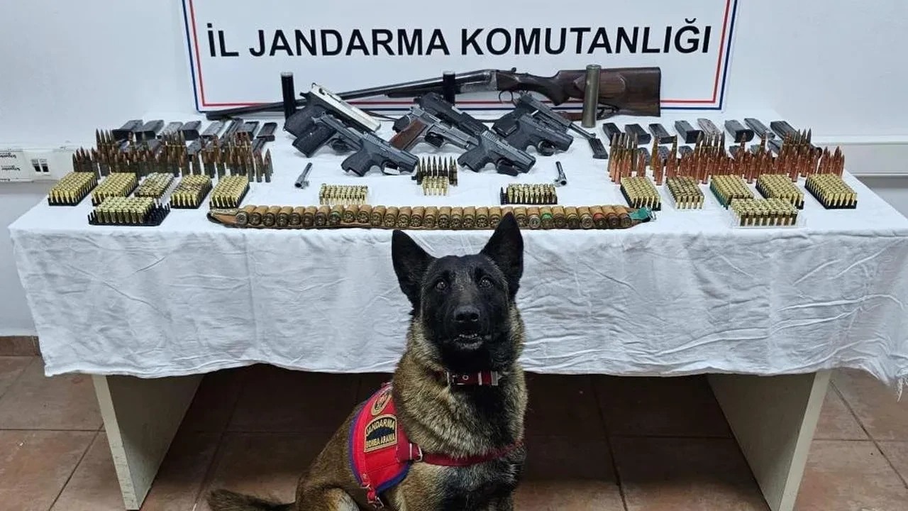 Düzce'de jandarma baskın yaptı: Evlerden cephanelik çıktı, 51 kişi yakalandı