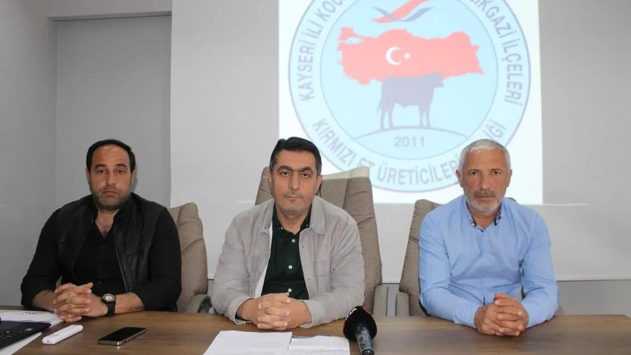 Kayseri Kırmızı Et Üreticileri Birliği'nden önemli adım: Gebe düve ithalatı ile üretimde canlanma hedefleniyor