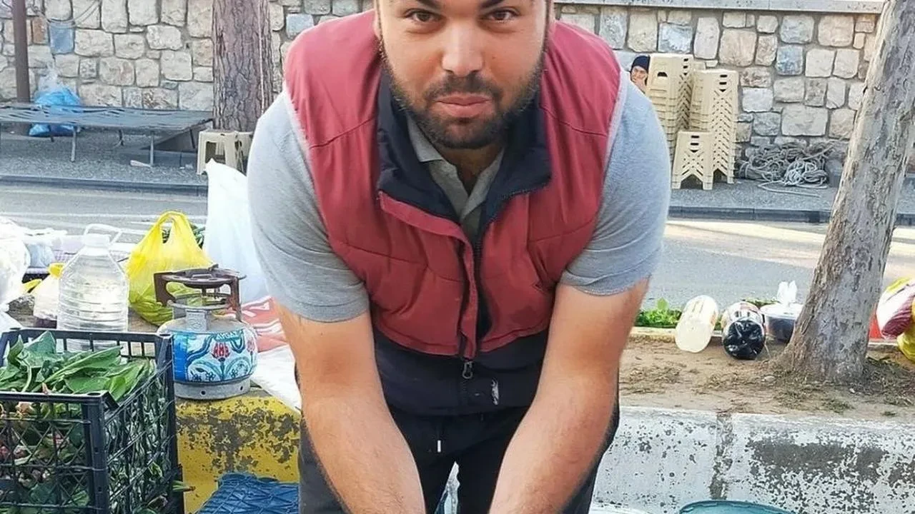 Yaz meyvesi erik tezgahlarda: Kilosu 150 tl'den alıcı buluyor