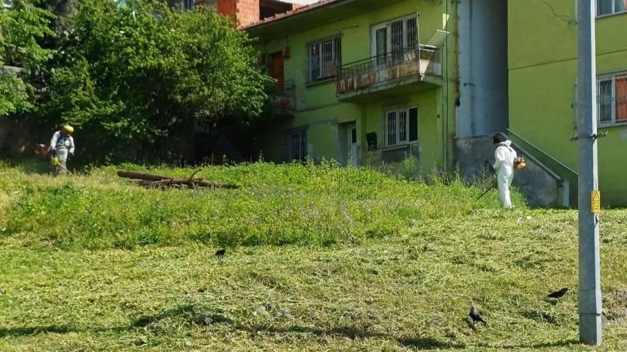 Körfez'de yabani otlarla mücadele sürüyor: Park ve bahçelerdeki çalışmalar devam ediyor
