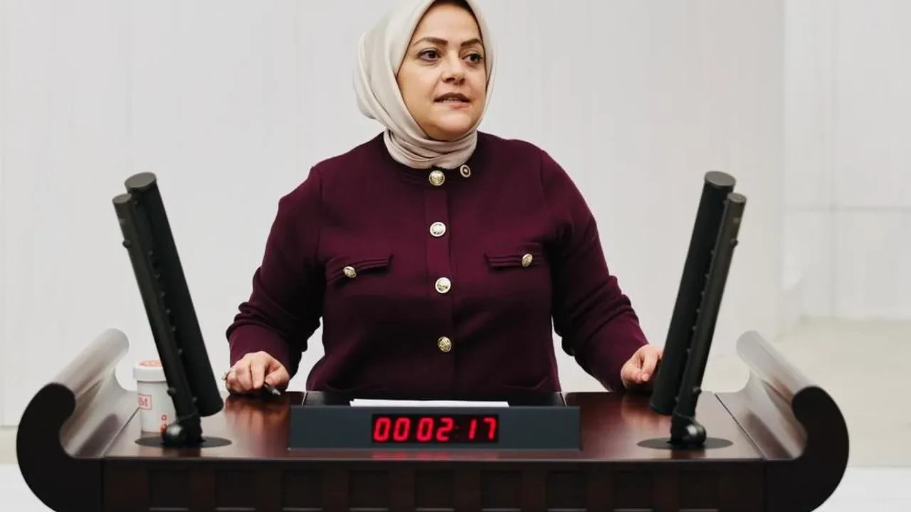 Sema Silkin Ün TBMM'de uyardı: Deprem hazırlığı yok, Kanal İstanbul emlak hırsıyla inşa ediliyor