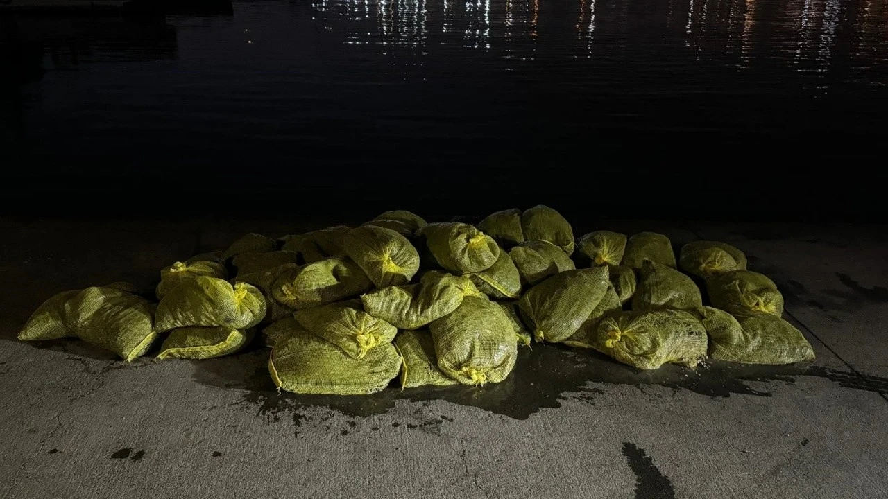 Kaçak avlanan 1 ton kum midyesi ele geçirildi: 37 bin TL para cezası kesildi