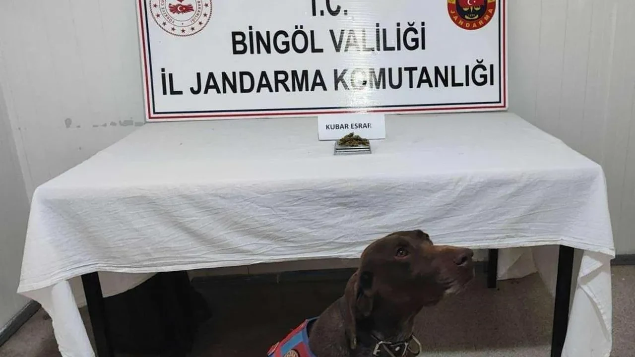 Bingöl'de uyuşturucu madde ve tüfek ele geçirildi: 2 şüpheli hakkında adli işlem başlatıldı
