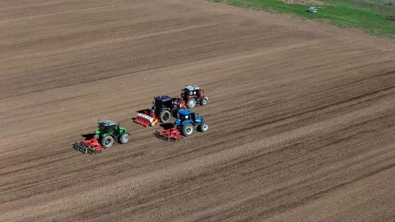 Sivas'ta çiftçiler tohumları ekti: 2025 şeker pancarı sezonu için hazırlıklar başladı