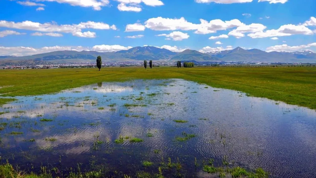Öğle sonrası yağış ve rüzgar geliyor! Uzmanlar uyarıyor