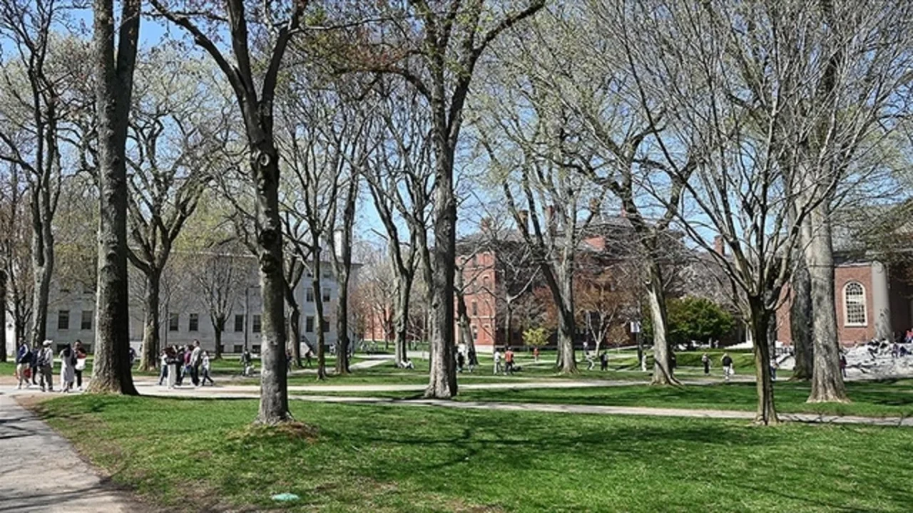 Harvard'a darbe: Trump'tan üniversite fonlarını yeniden dağıtma hamlesi