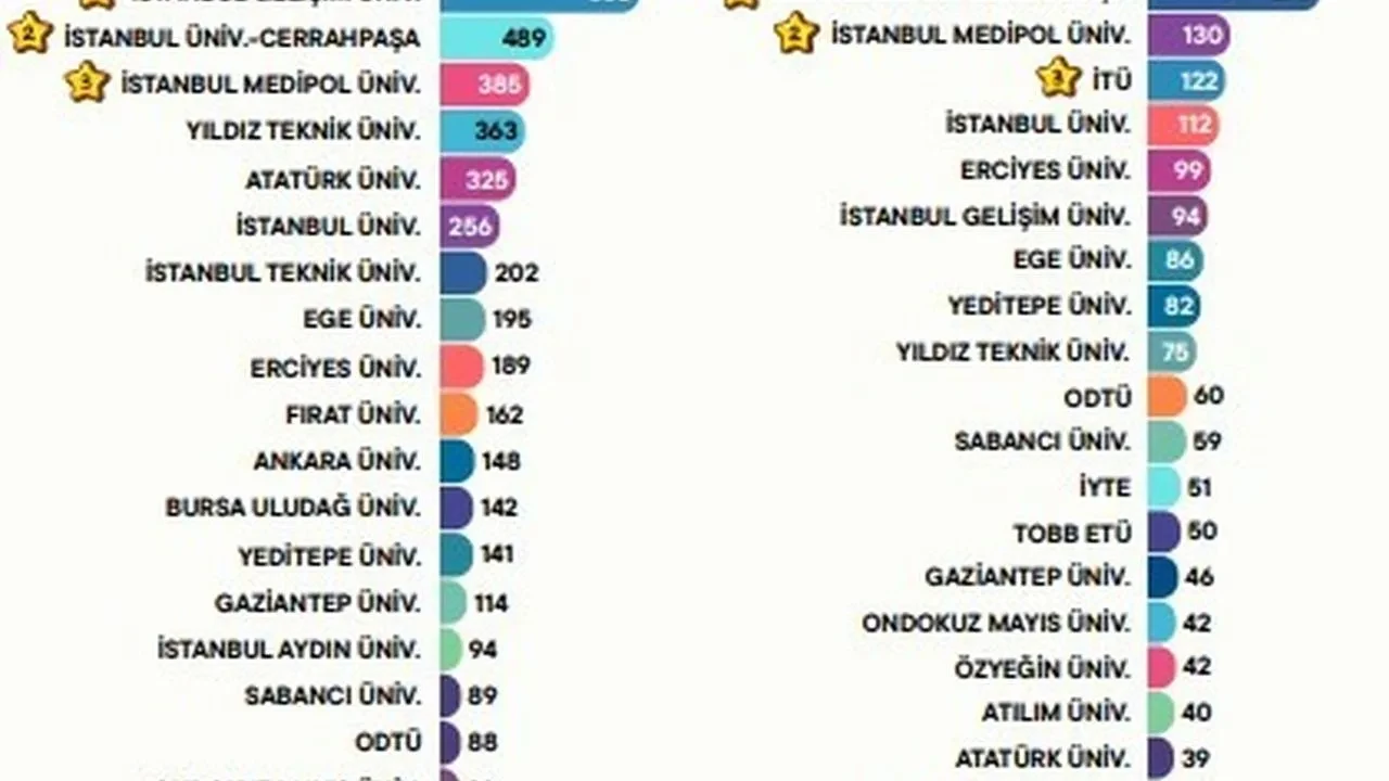 İstanbul Gelişim Üniversitesi, 2024'te 856 patent başvurusuyla şampiyonluğa imza attı