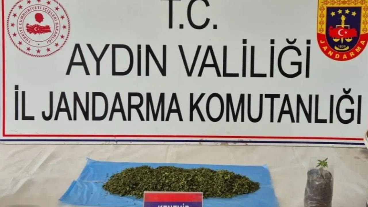 Aydın’da uyuşturucu operasyonu: 36 şüpheli yakalandı