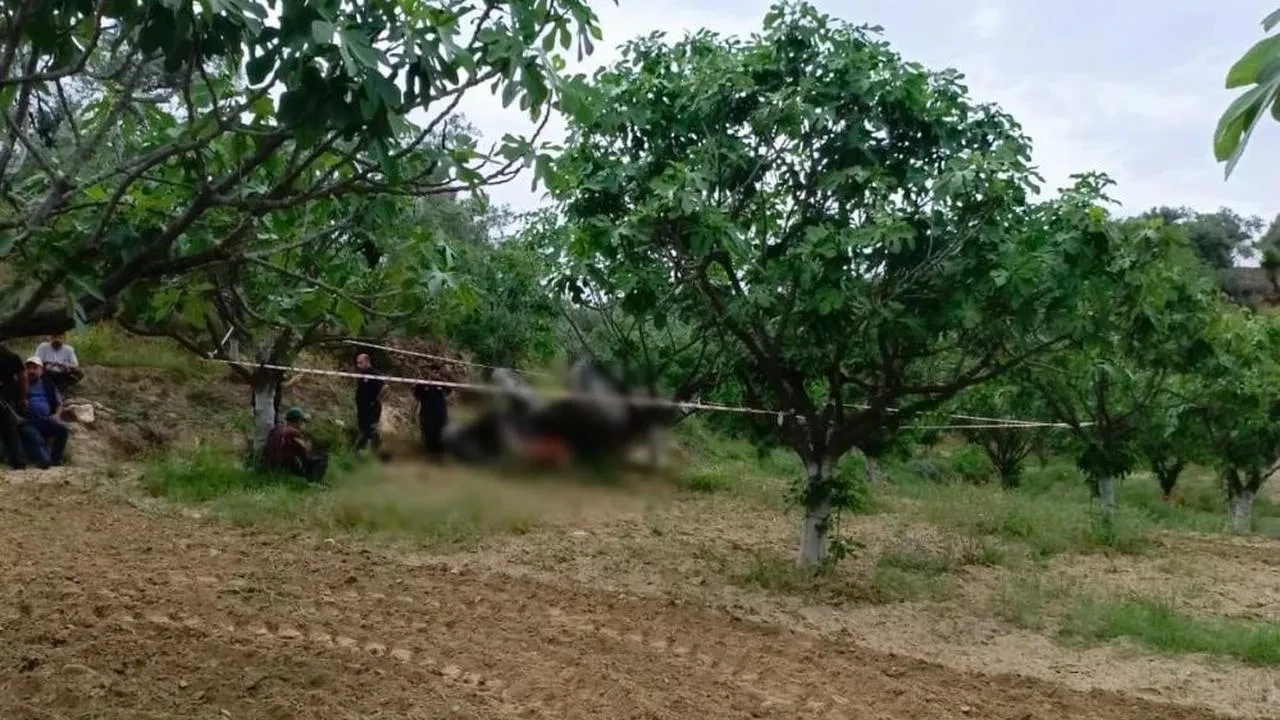 Germencik'te üzücü traktör kazası: Doğan Uysal hayatını kaybetti