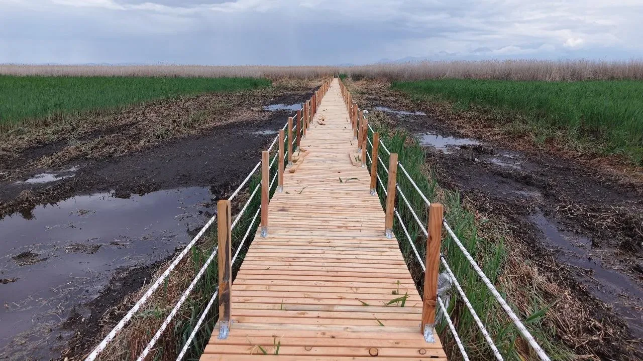 Sultan Sazlığı Kuş Cennetinde Yeni Yürüyüş Yolu Açıldı