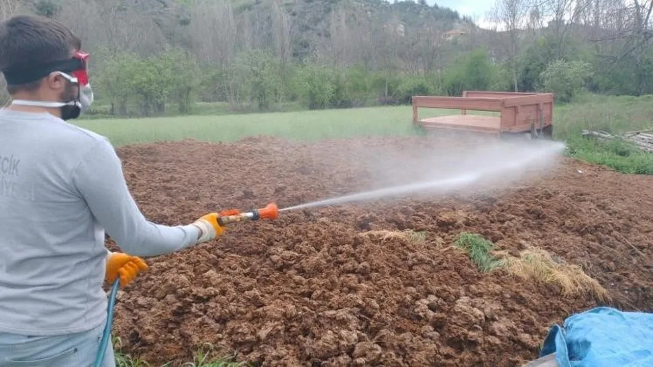 Bilecik Belediyesi'nden yaz öncesi haşere ilaçlama çalışması