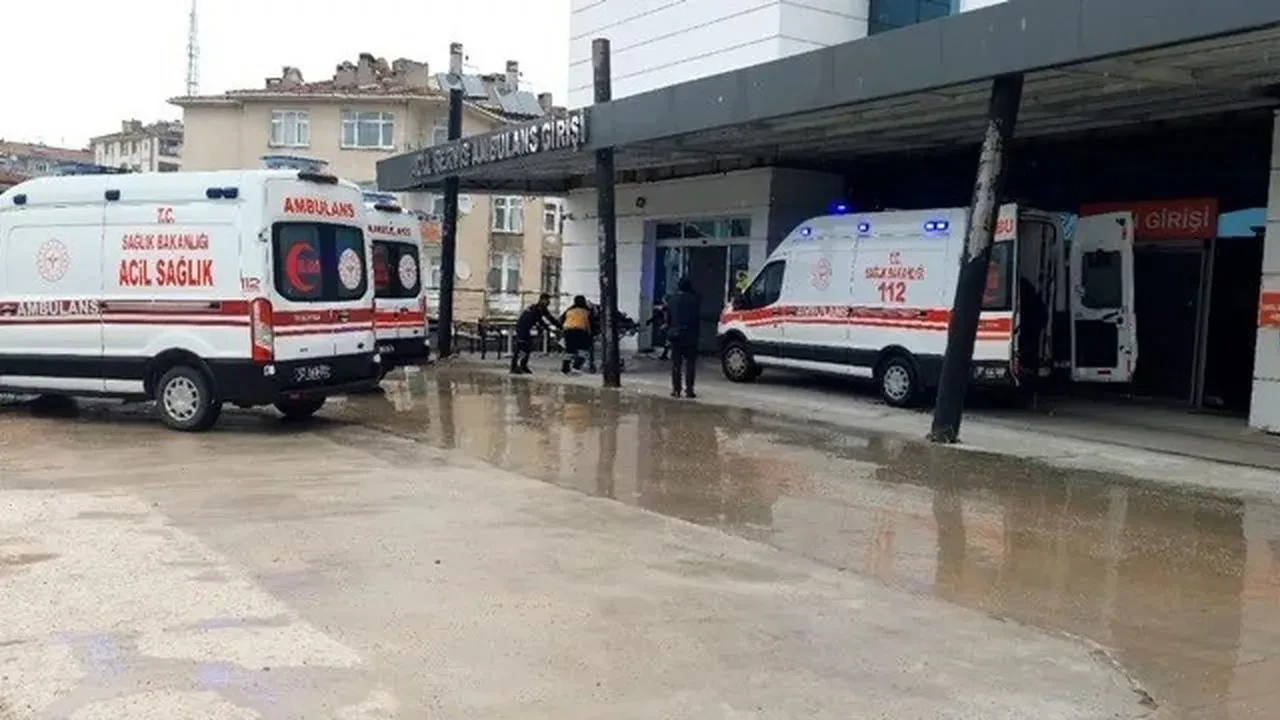 Sinop Boyabatta mantar yiyen vatandaş hastaneye kaldırıldı