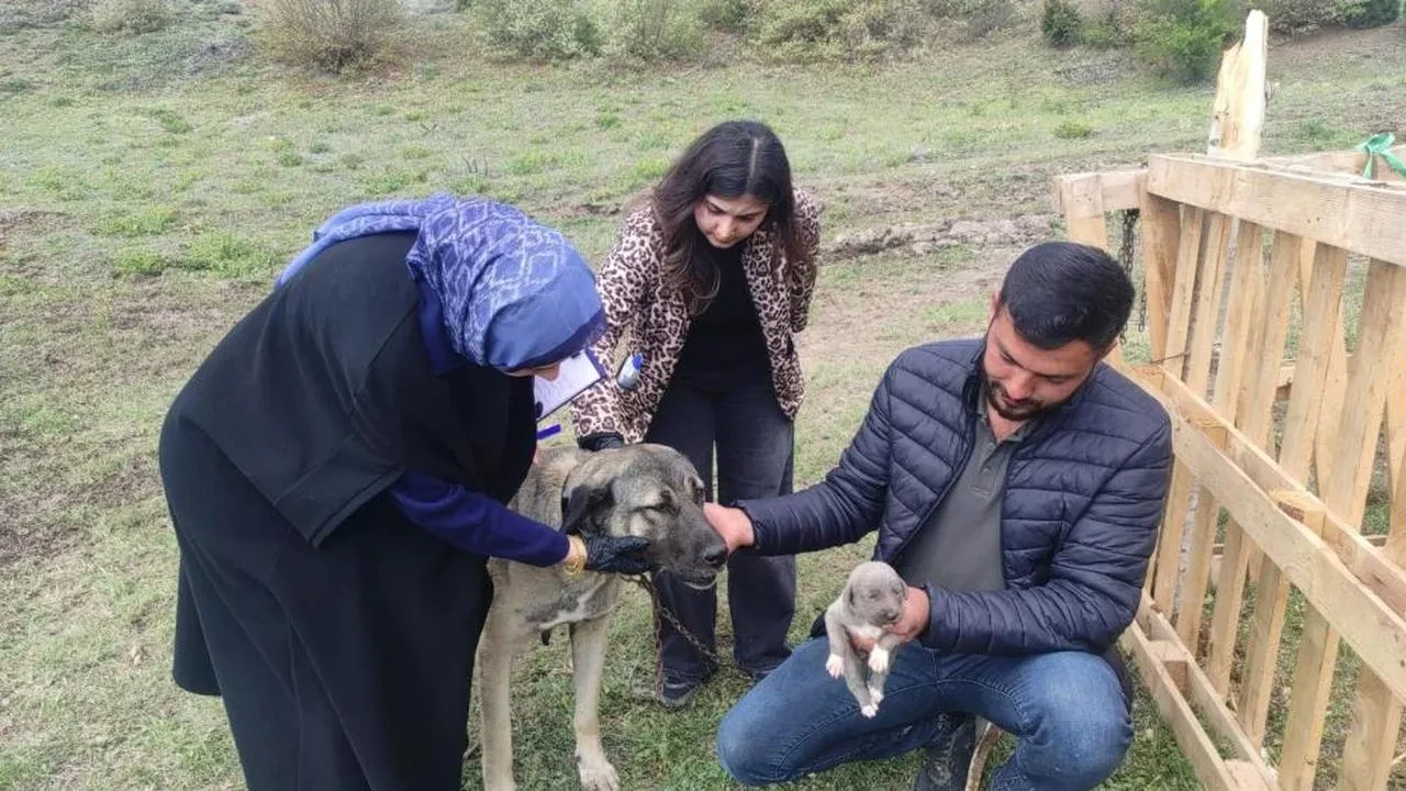 Sosyal medyada linç edilen köpeğin sahibi: "Köpeği eziyet etmek istemem, sağlığı için çabalıyorum"