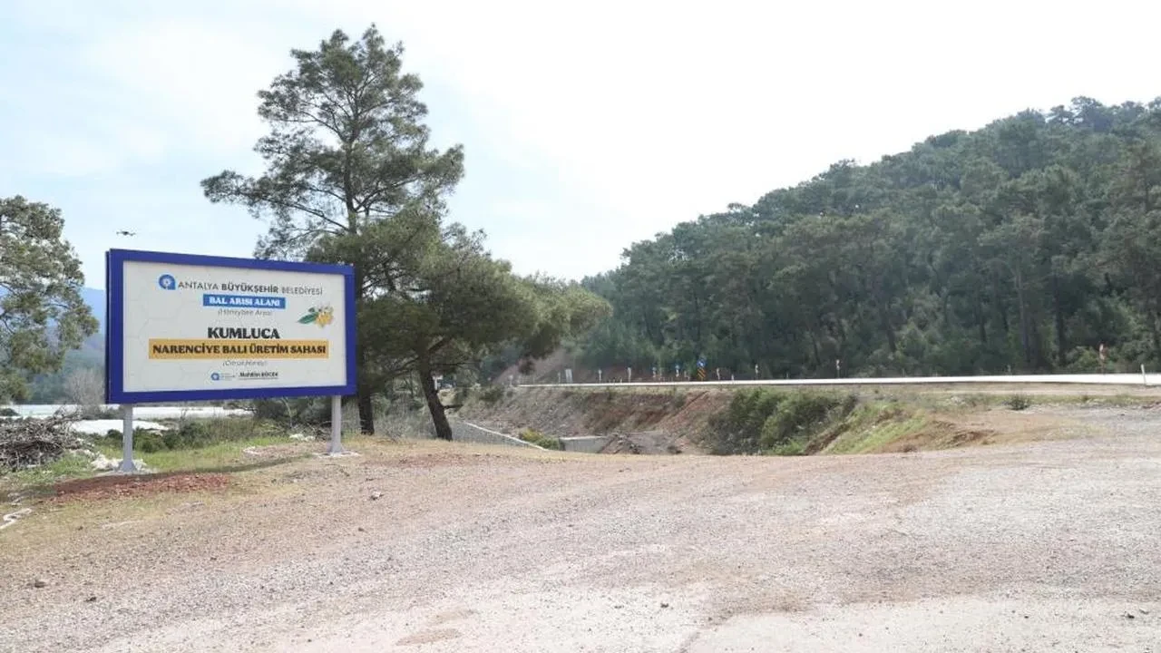 Antalya, narenciye balının coğrafi işaret tescili için ilk adımları attı! Arıların korunması nasıl sağlanacak?