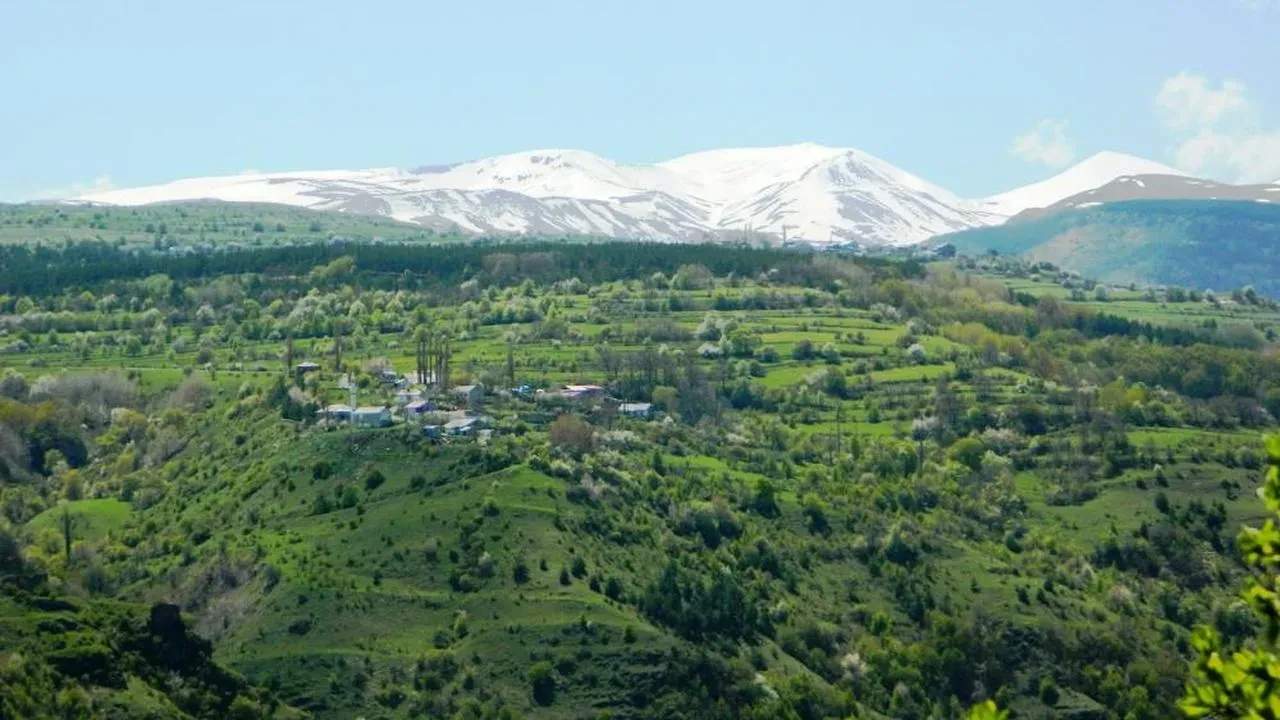 Posof'ta baharın canlanışı: Doğa renk cümbüşüne dönüşüyor!