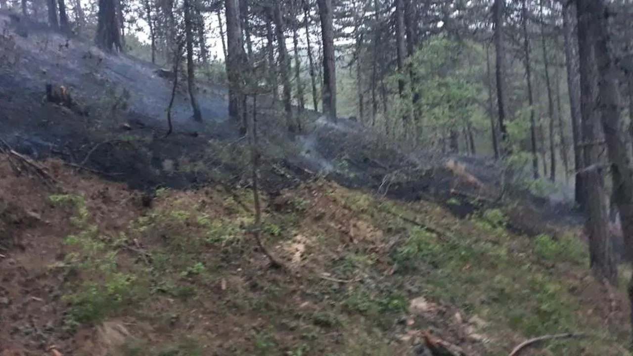 Sinanpaşa'da orman yangını büyük hasara yol açtı
