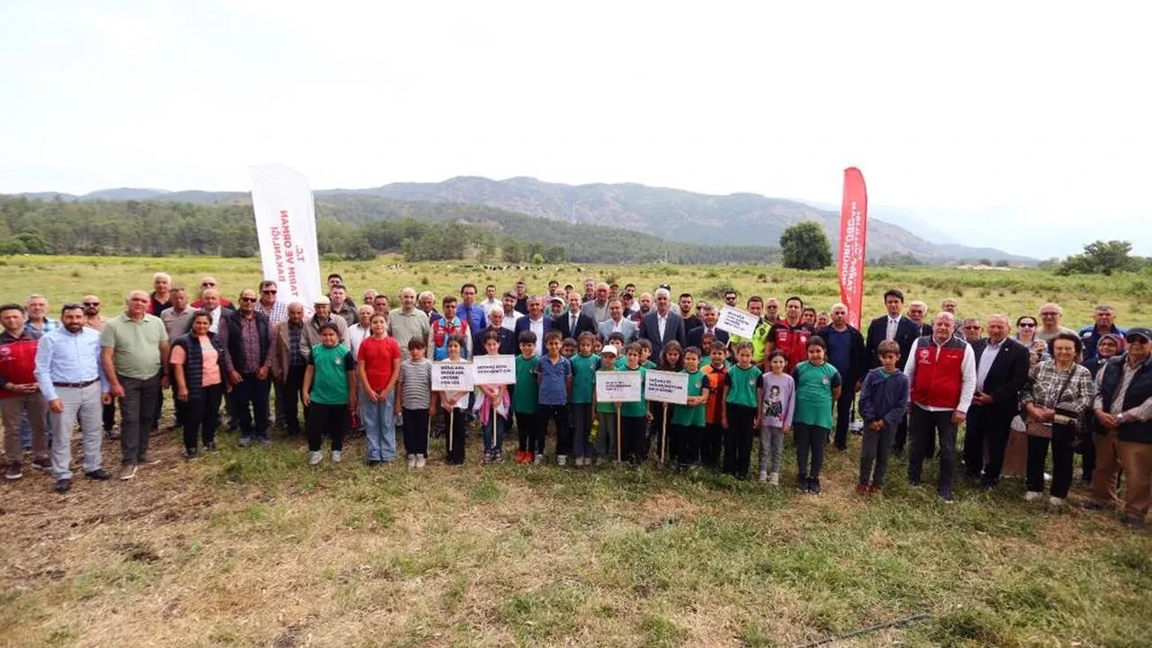 Muğla'nın Köyceğiz'inde 400 dekar meralık alan çiftçilere açıldı