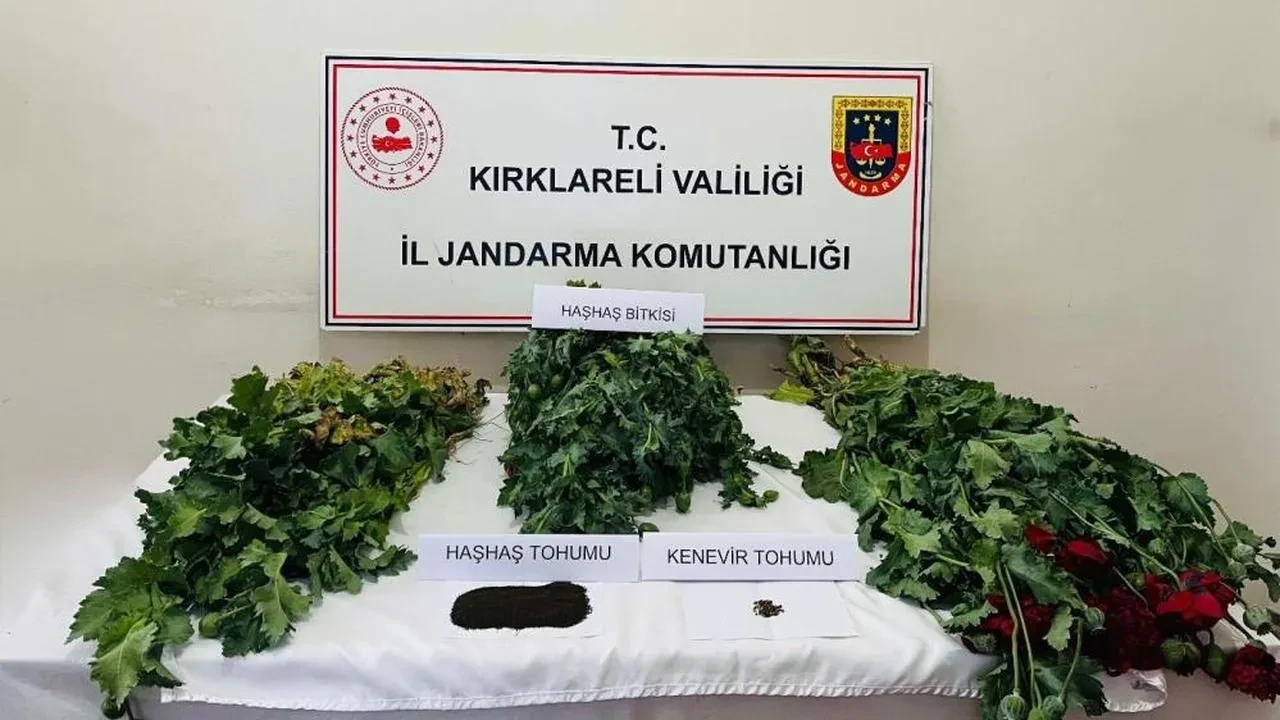 Kırklareli'nde uyuşturucu operasyonu: 8 gözaltı