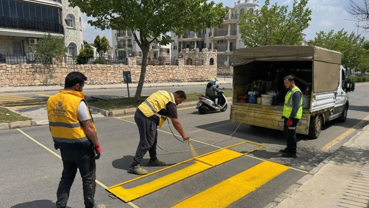Didim'de hayatı güzelleştiren büyük çalışmalar: Bakım ve çevre düzenlemesi sürüyor