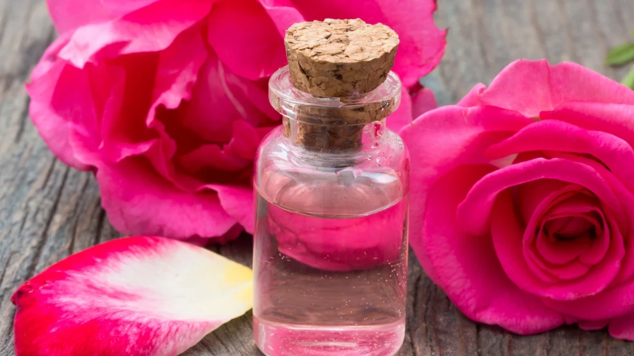 Osmanlı kadınlarının bembeyaz cilt sırları: Doğal yöntemlerle güzellik nasıl sağlanıyor?