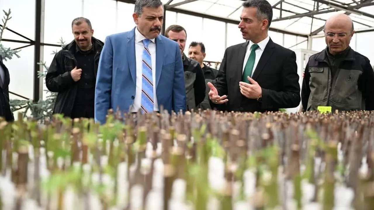 Erzurum Valisi Çiftçi, Orman Bölge Müdürlüğü'nde yapılan ağaçlandırma ve yangınla mücadele projelerini inceledi