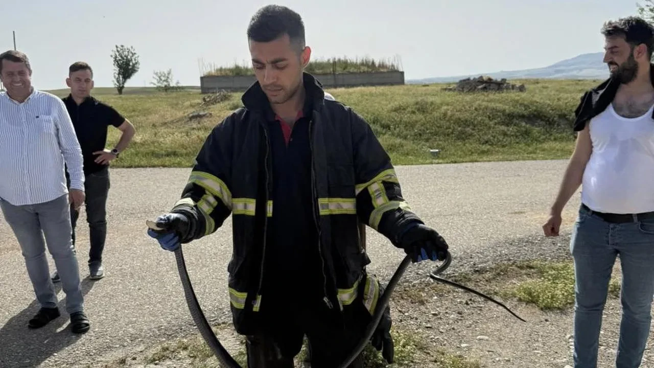 Batman'da yılan paniği! Dövecik köyünde evin tavanına girdi