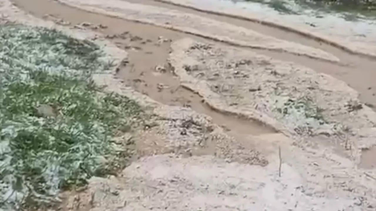 Tokat'ta kırbaç gibi dolu: Yayladaki hayvanlar zor anlar yaşadı