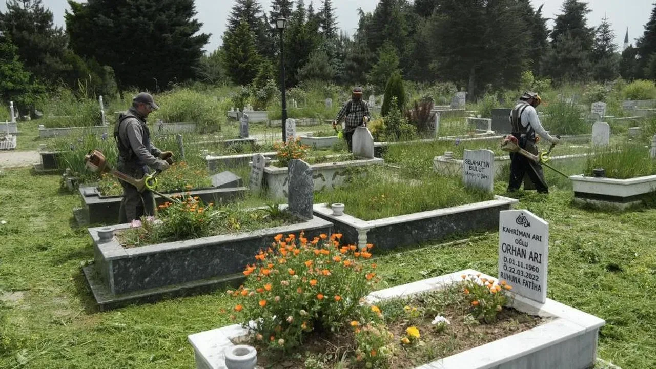 Mezarlıklarda otlar biçiliyor: Düzce belediyesi mezarlıklarda ot biçme çalışması başlattı