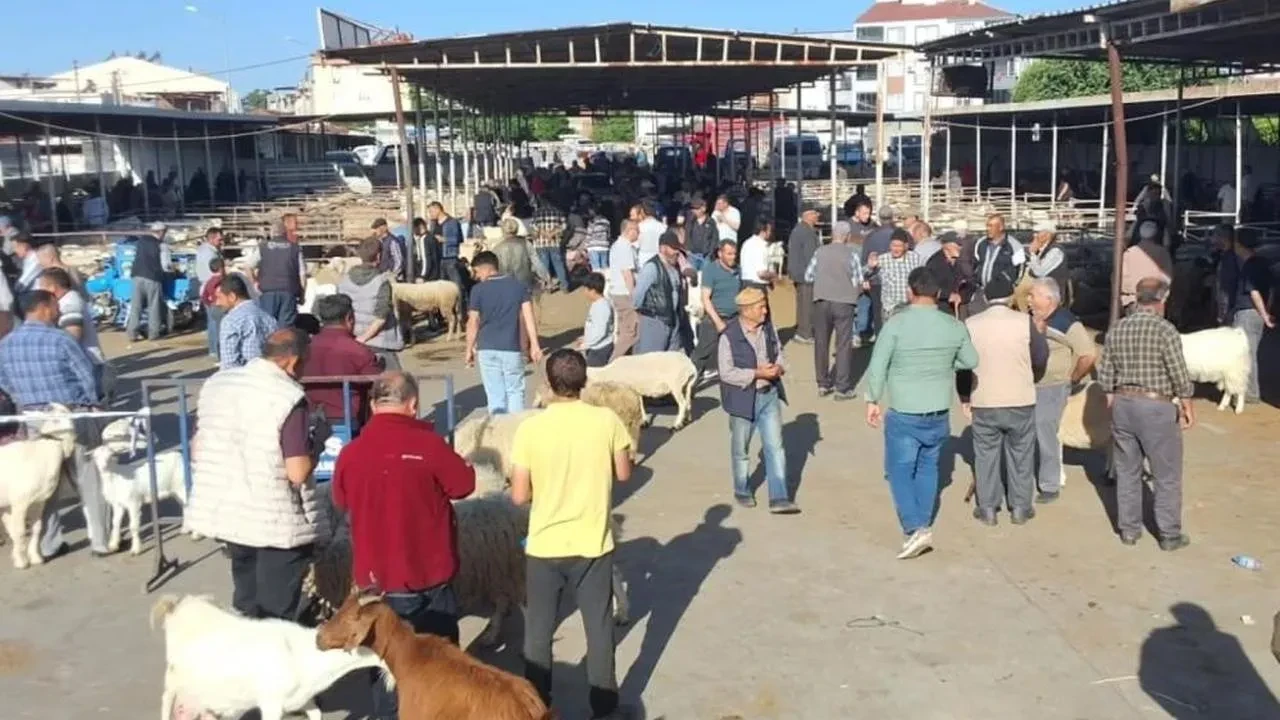 Havran'da Kurban Bayramı için hayvan pazarı denetimi
