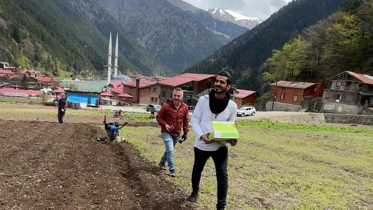 Uzungöl'de Arap turistlerden renkli anlar: Tarlada mısır ektiler, hurma ikram ettiler