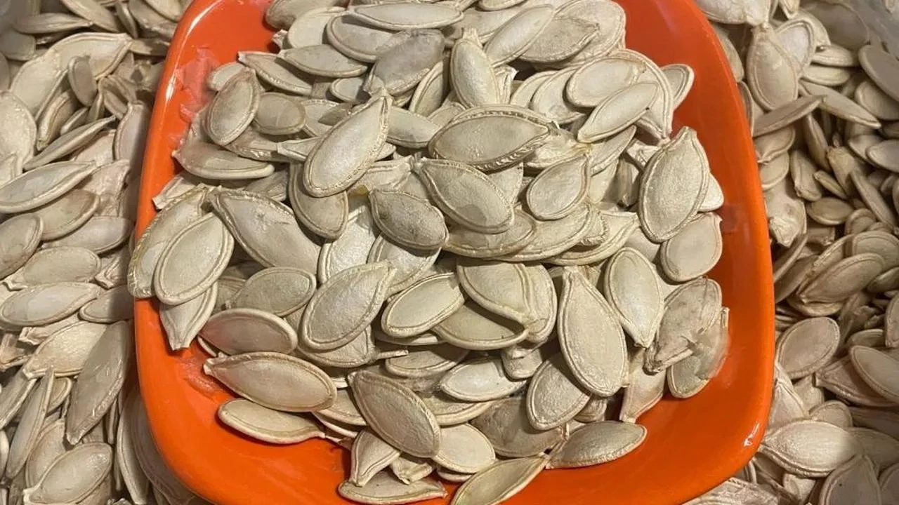 Kabak çekirdeği ve zencefildeki bakteriler gıda güvenliğini nasıl tehdit ediyor?