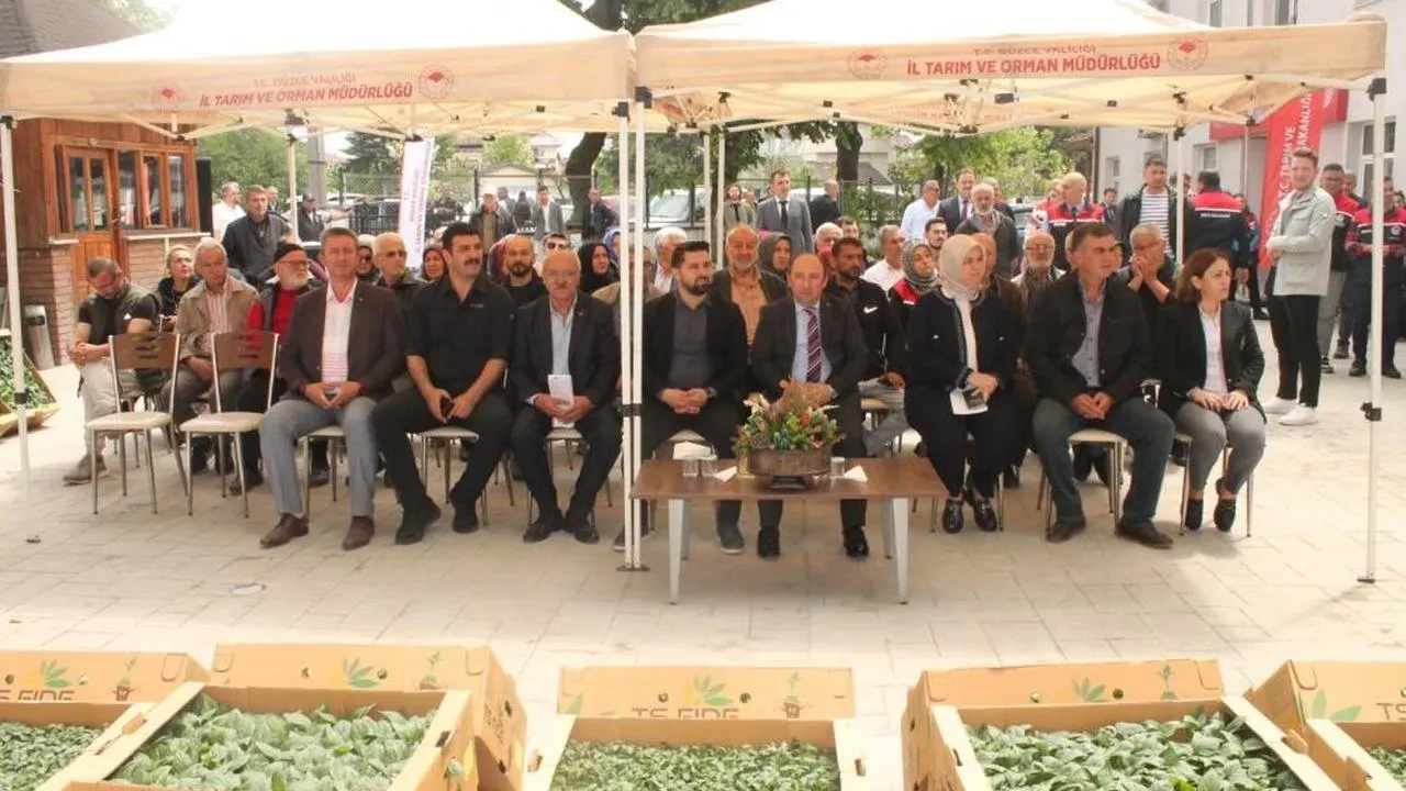 Düzce'de tarımda dev atılım! 250 üreticiye 121 bin fide dağıtıldı