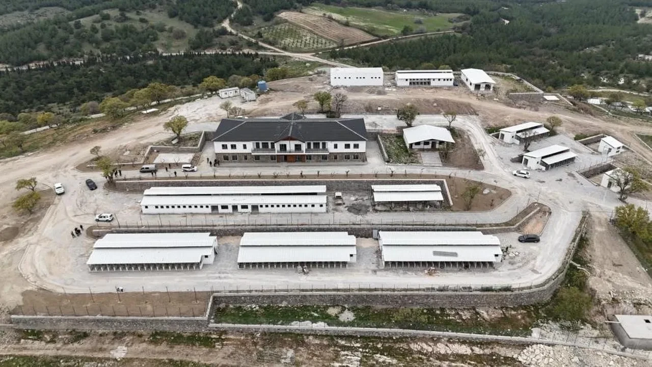 Ege Bölgesi'nde hayvanseverler için yeni bir dönem: Hayvan Yaşam Merkezi 15 Mayıs'ta kapılarını açıyor