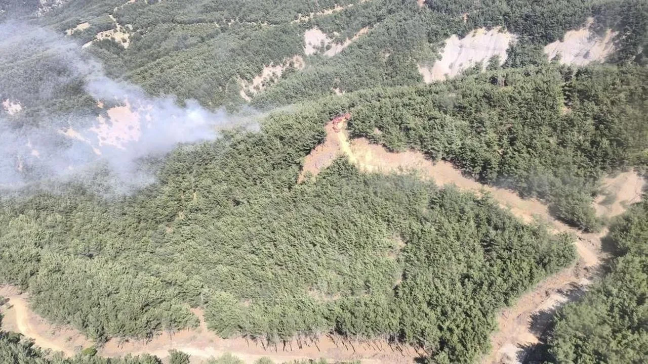 Gökçeada'da orman yangını: Ekiplerin müdahalesiyle kontrol altına alındı