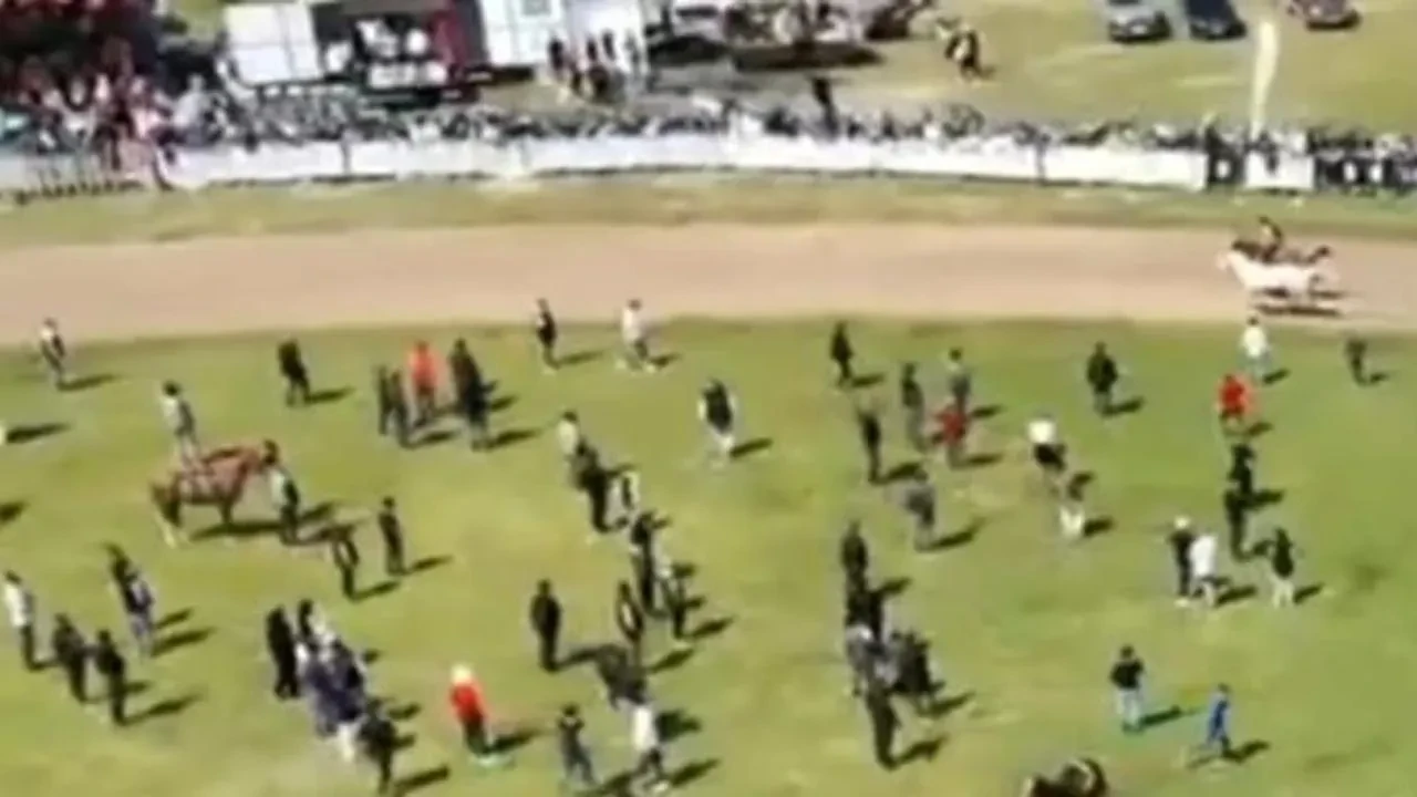 Şok eden olay! Jokeyini düşüren at, yarışı tek başına kazandı