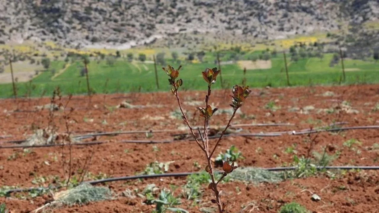 Antalya'da Tarımsal Sulama Projeleriyle Tersine Göç Hızlanıyor
