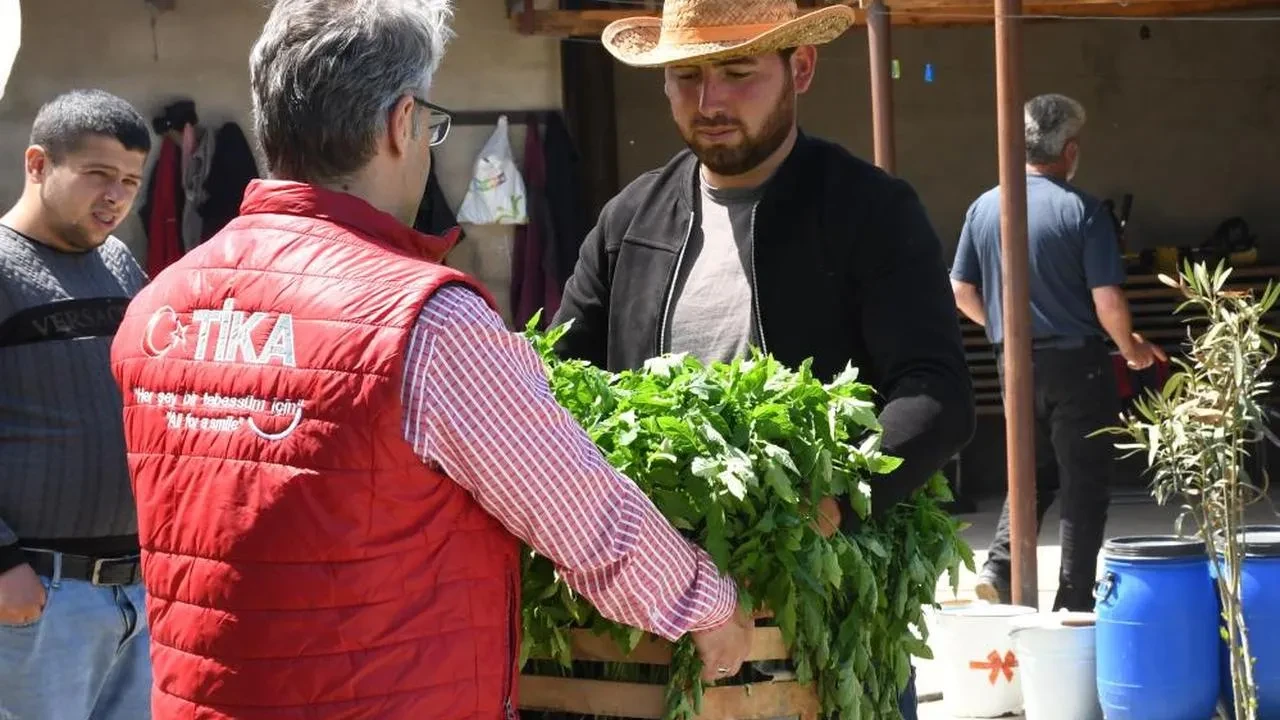 Azerbaycan'da sel mağduru çiftçilerin yüzü tika ile güldü