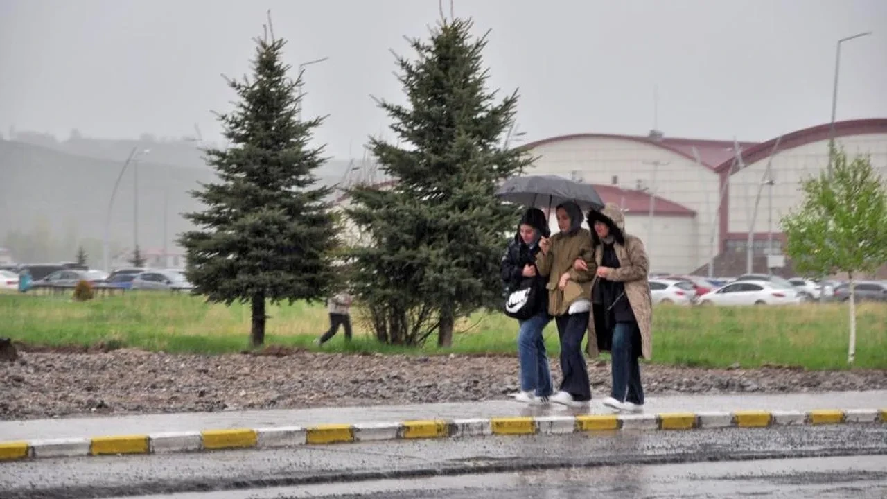 Kars'ta sağanak yağmur büyük hasara yol açtı: Hayvanlar ve tarım arazileri etkileniyor