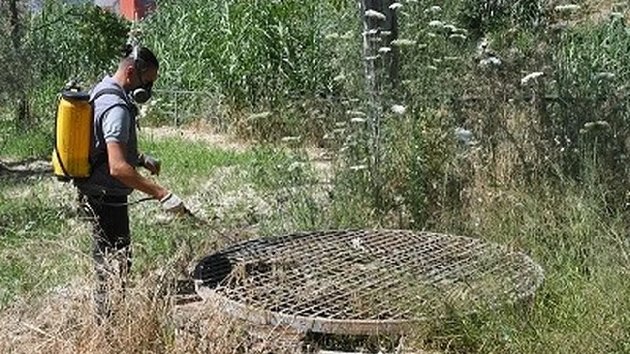 Kuşadası'nda halk sağlığı için ilaçlama seferberliği başladı