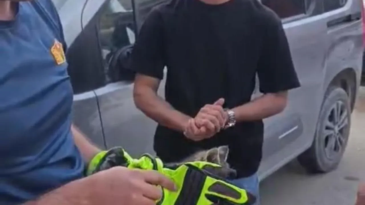 İgdır'da aracın motor kısmında sıkışan yavru kedi kurtarıldı: İtfaiye ekipleri seferber oldu