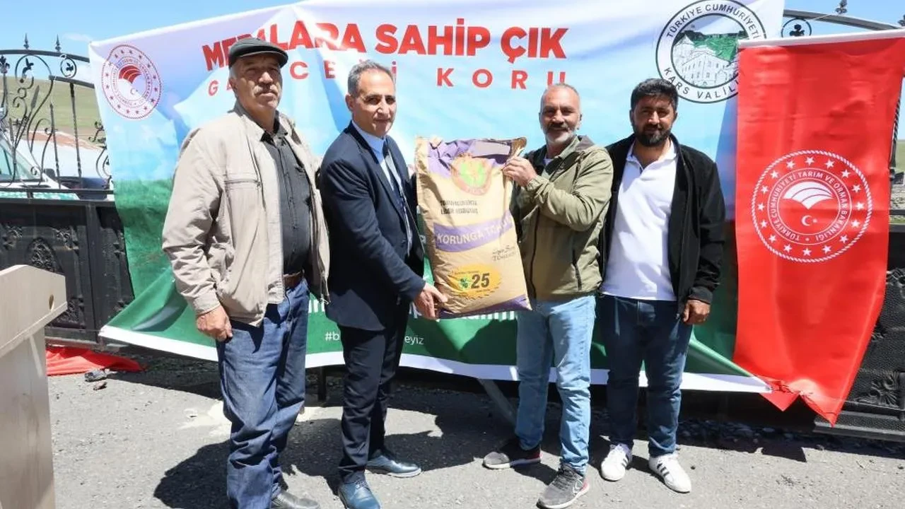 Kars'ta çiftçilere yüzde 100 hibe ile 60 ton Korunga tohumu dağıtımı başladı