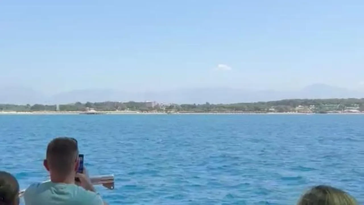 Side açıklarında Akdeniz foku turistleri şaşırttı