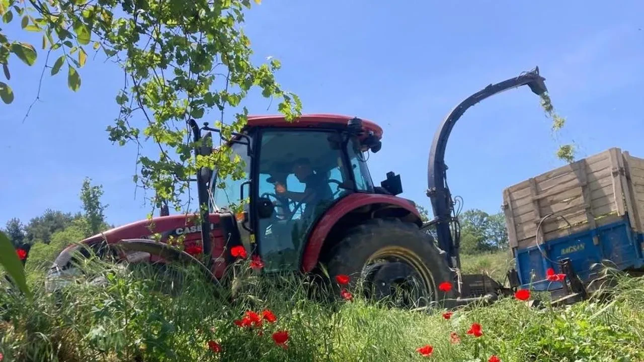 Çiftçi Ahmet Ur Kendi Slajını Üretti Süt Verimini Artırdı
