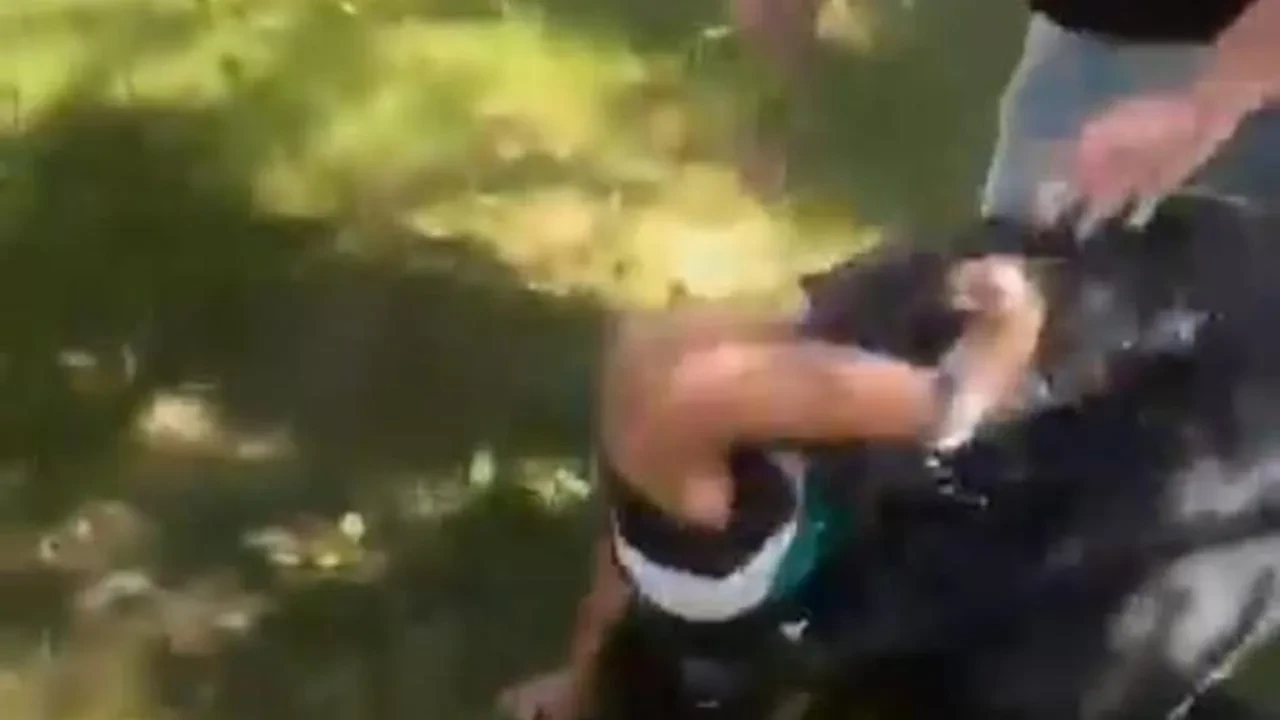 Ankara'da 12 yaşındaki çocuğun parkta darbedilmesiyle şok eden görüntüler ortaya çıktı