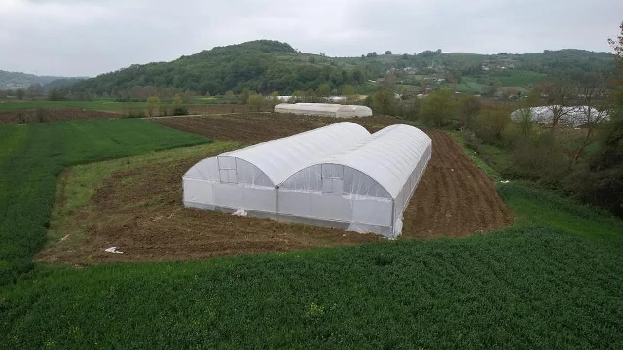 Üreticilere sera desteği: Çiftçinin umudu seralarda yetişiyor