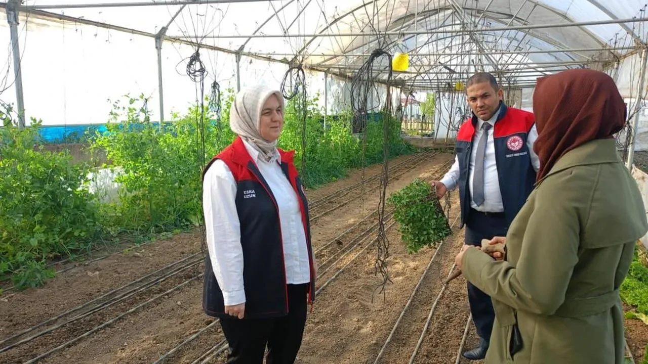 Kadın çiftçiye destek: Düzce'de kadın çiftçilere fide desteği verildi