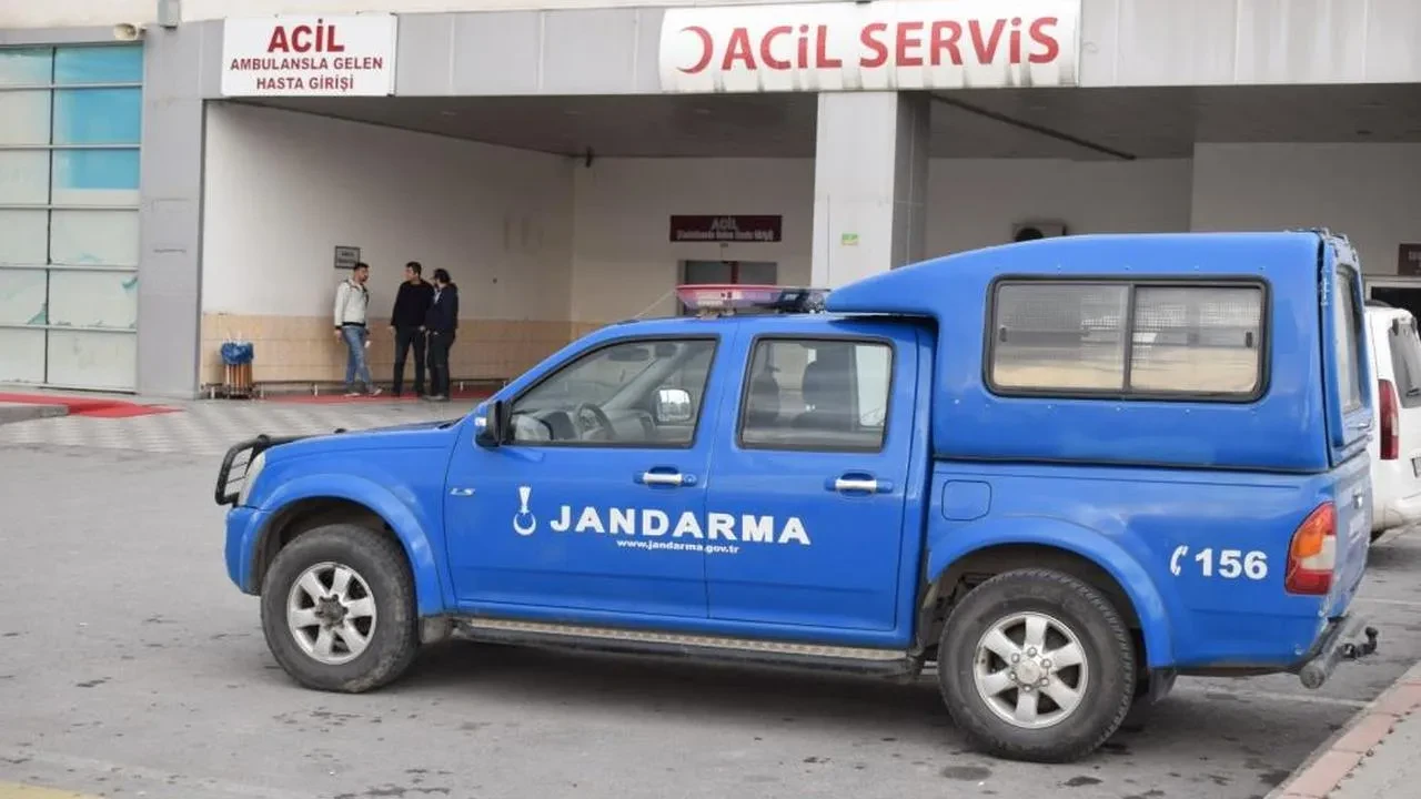 Akçadağ'da mantar zehirlenmesi alarmı: 6 kişi hastanelik oldu!