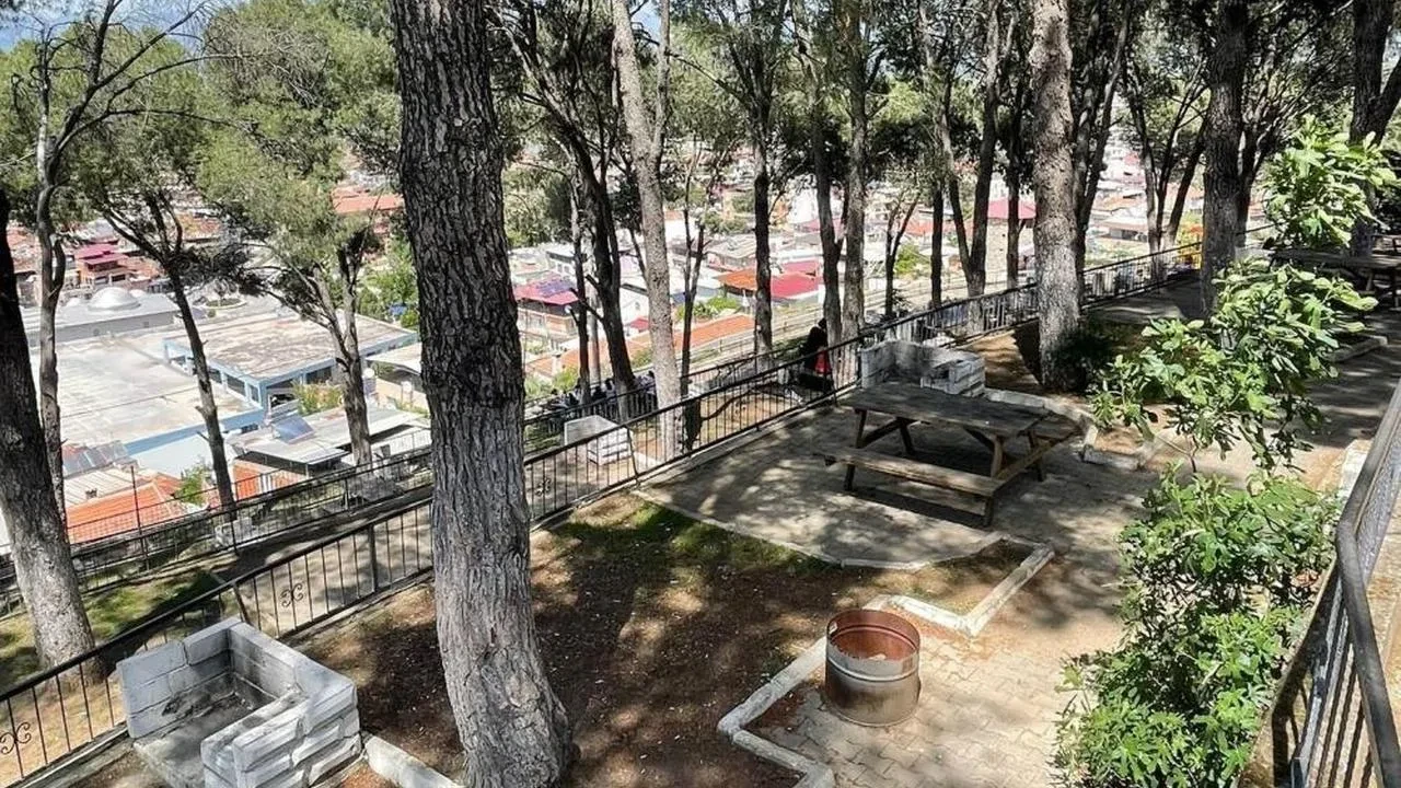 Aydın'da orman yangını önlemleri: Yasaklar ne zaman sona erecek?