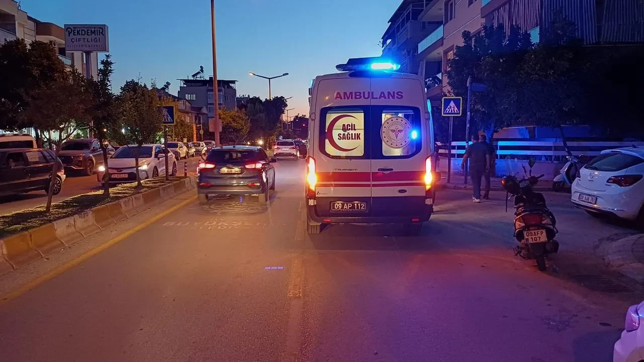 Aydında yola çıkan kedi motosiklet kazasına neden oldu