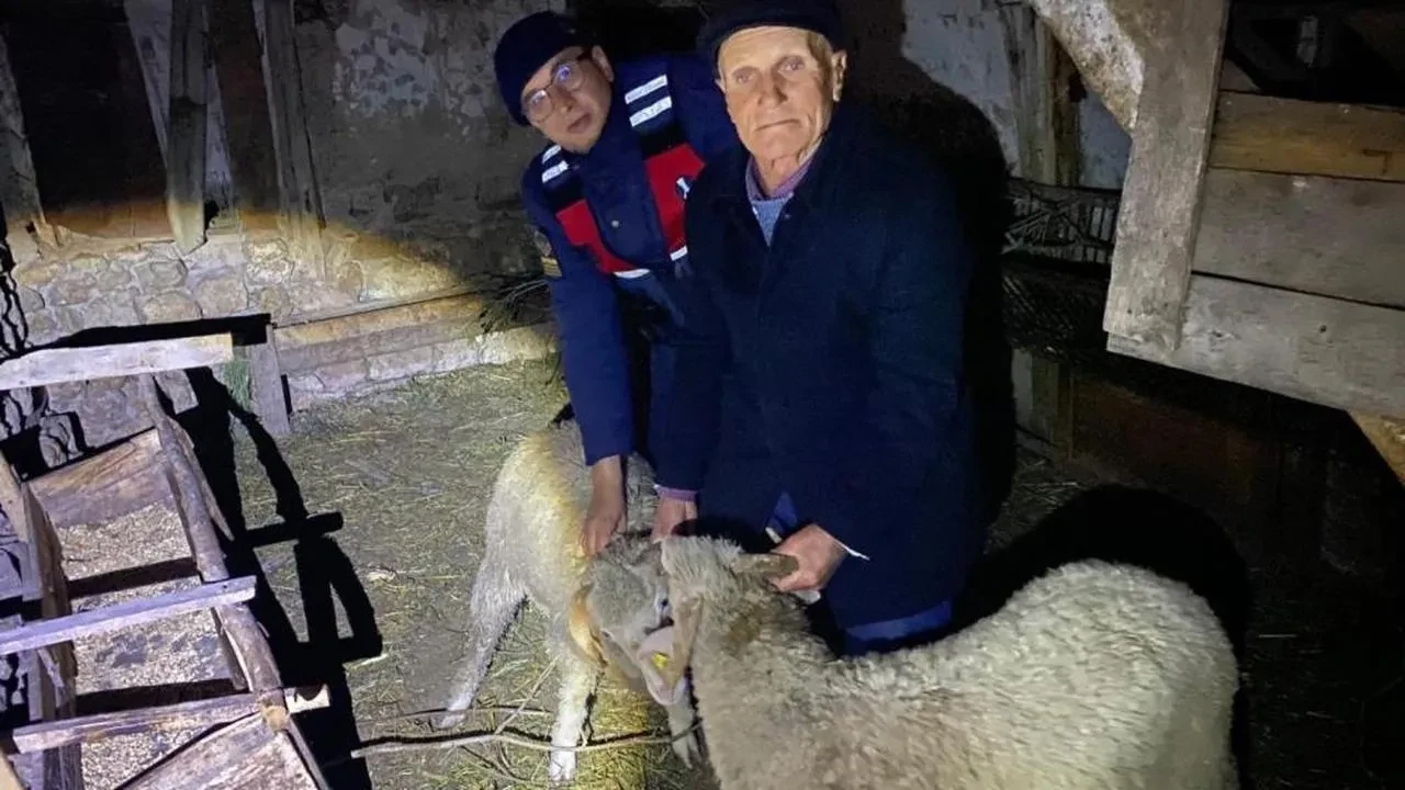 Bilecik'te kaybolan küçükbaş hayvanlar bulundu, son bir tanesi için arama sürüyor!